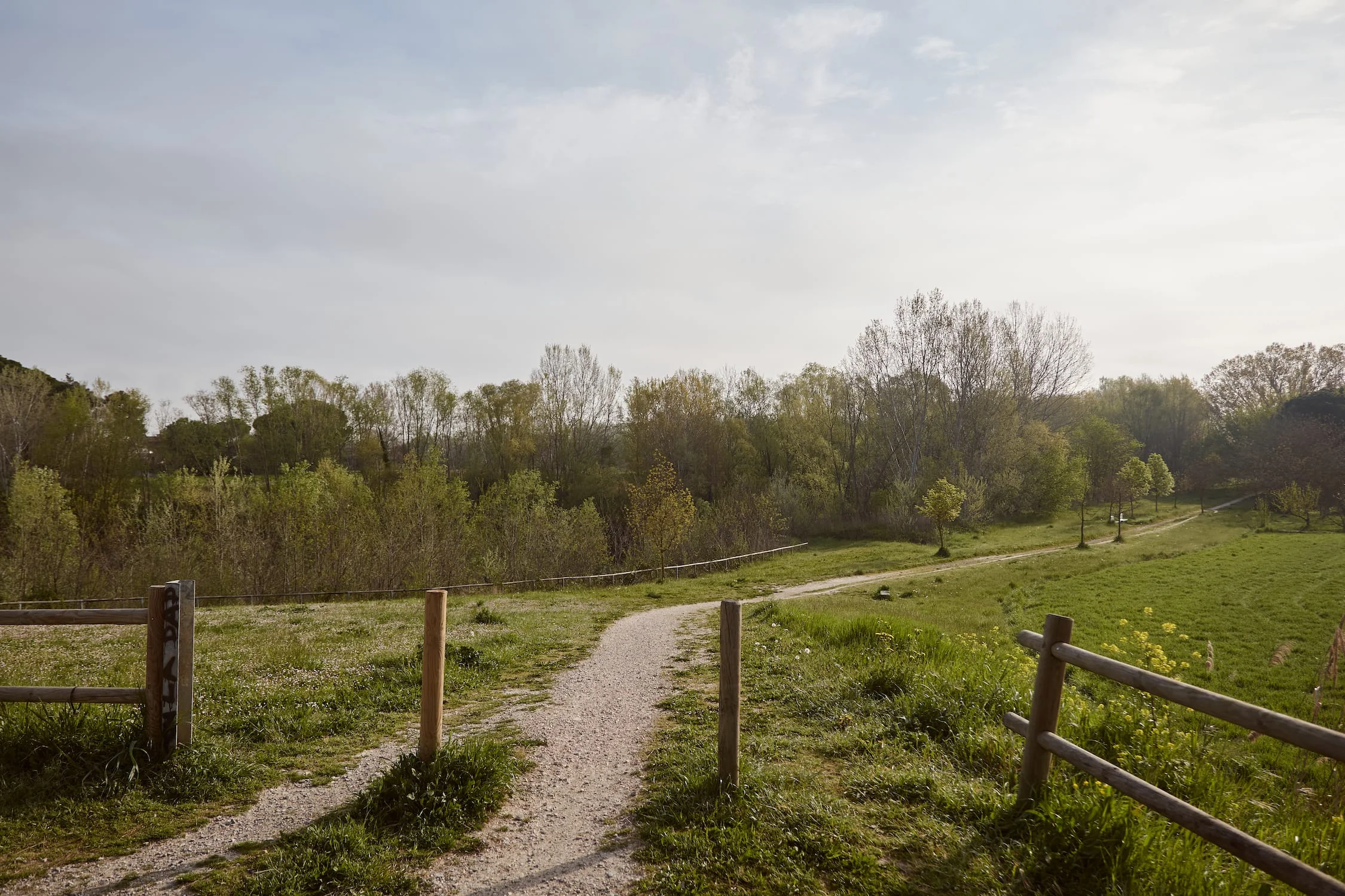 Gravel Bikepacking tra Marche e Romagna - Foto 1