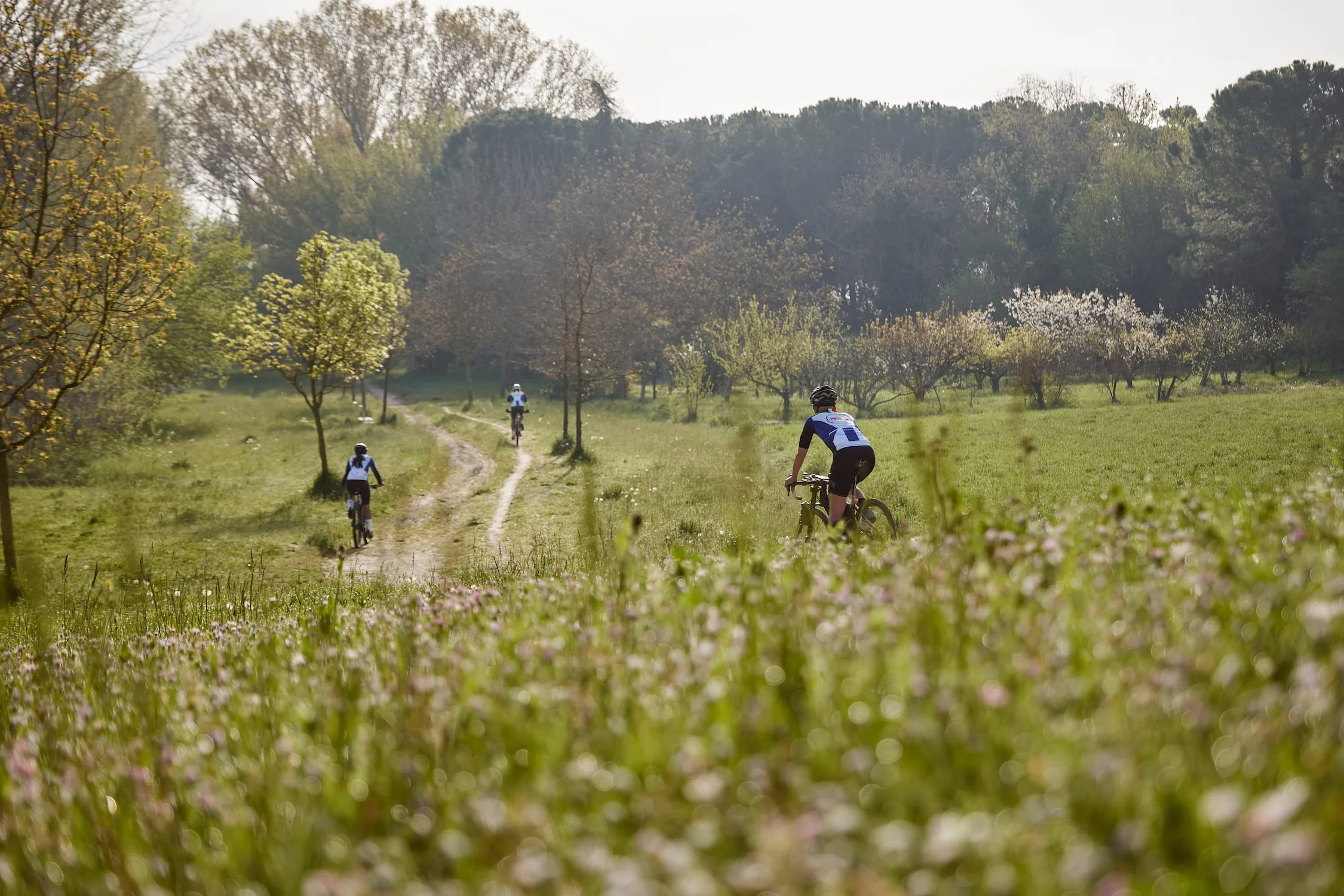 Gravel Bikepacking tra Marche e Romagna - Foto 2